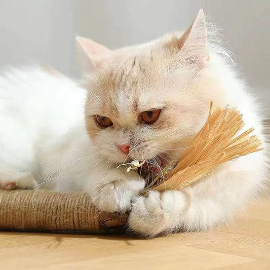 Feline Bliss Catnip Chew Sticks